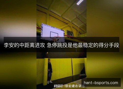 李安的中距离进攻 急停跳投是他最稳定的得分手段